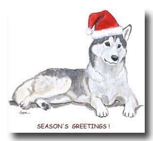 Siberian Husky Christmas Cards | Pet holiday, Christmas cards ...