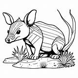 Aardvark Coloring Page · Creative Fabrica sketch template