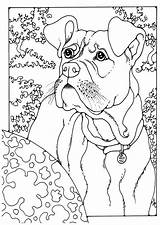 Printable Boxer Dog Coloring Pages At Viialexanderblog Blog sketch template