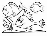 Free Outline Pictures Of Animals For Colouring Download  sketch template