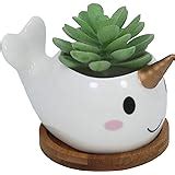 Amazon.com : Gemseek Cute Hippo Succulent Planter Pot with Bamboo Drainage Tray, White Ceramic ...