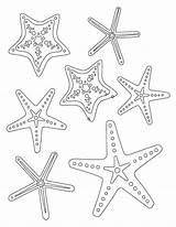 Starfish Coloring Pages sketch template