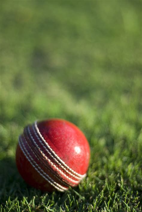 Free Stock Photo 4837 leather cricket ball | freeimageslive