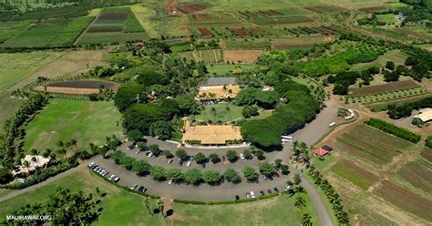 Maui Tropical Plantation - Farm Tours, Shopping, Restaurants