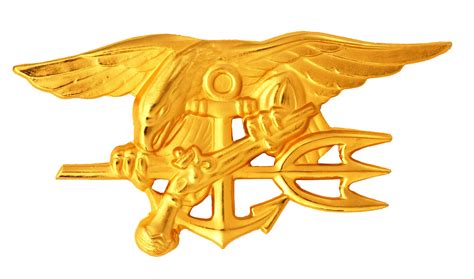 Navy Seal Logo Vector at GetDrawings | Free download