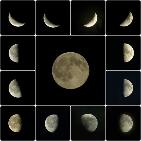 File:Mosaique des phases de la lune.jpg - Wikimedia Commons