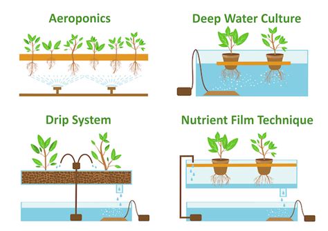 Types of hydroponics systems: advantages and cons of each system ...