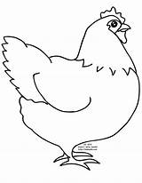 21 Chook Pictures Ideas  Chicken coloring Pages sketch template