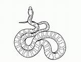 Free Printable Snake Coloring Page  Home sketch template