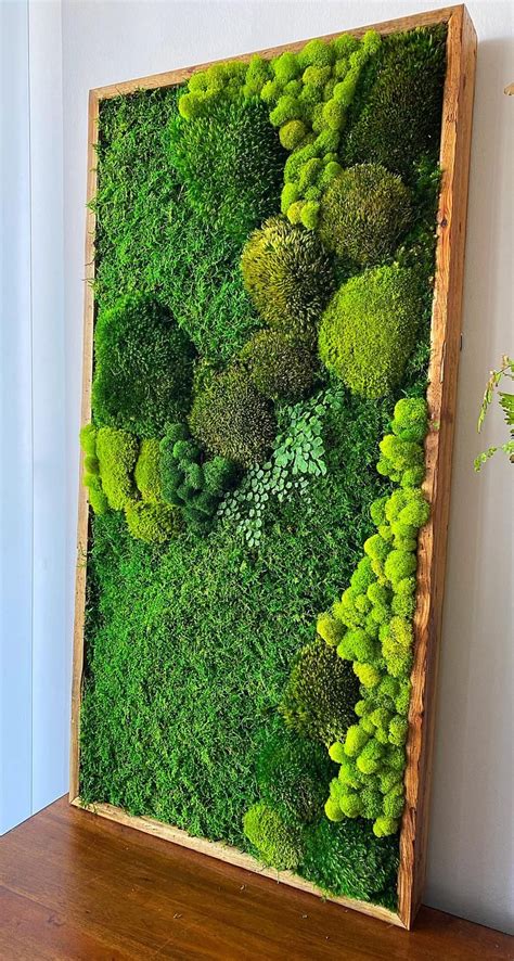 Moss Wall Art preserved Moss Nature Art moss Wall | Etsy | Moss wall art, Outdoor wall art, Moss ...