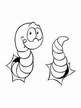 Earthworm Coloring Pages sketch template
