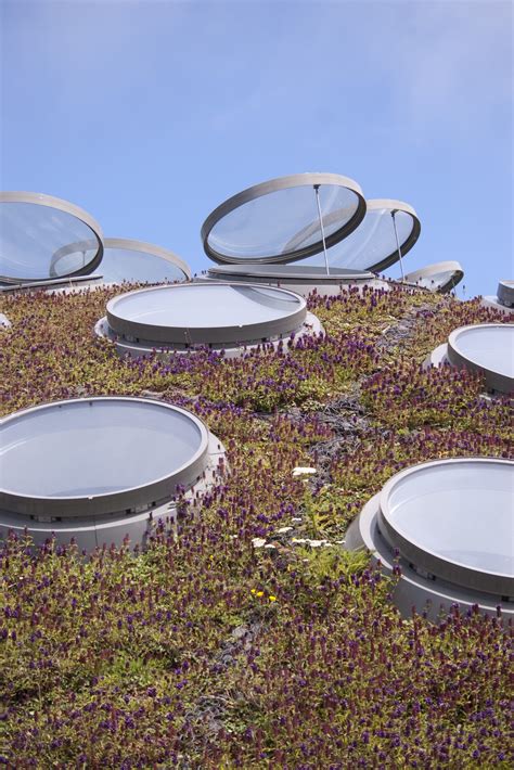 Free Stock Photo 2880-Academy of Sciences Living Roof | freeimageslive