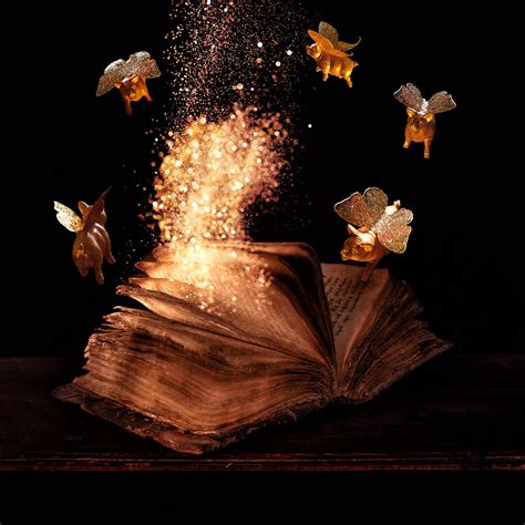 Magic Book Photograph by Floriana Barbu