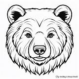 Bear Face Coloring Pages  Free & Printable sketch template