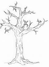Simple Tree Roots Coloring Pages sketch template