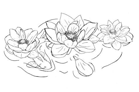 Koi and Lotus tattoo - v2 Outline | Lotus flower tattoo design, Flower drawing, Flower tattoo