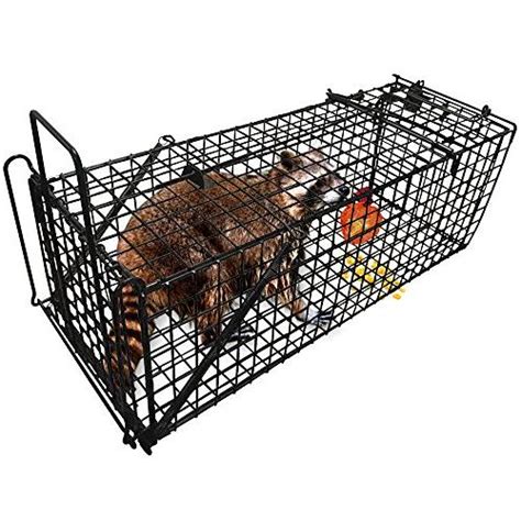 Humane Live Animal Trap 31"X10.5"X11.5" Catch Release Cage