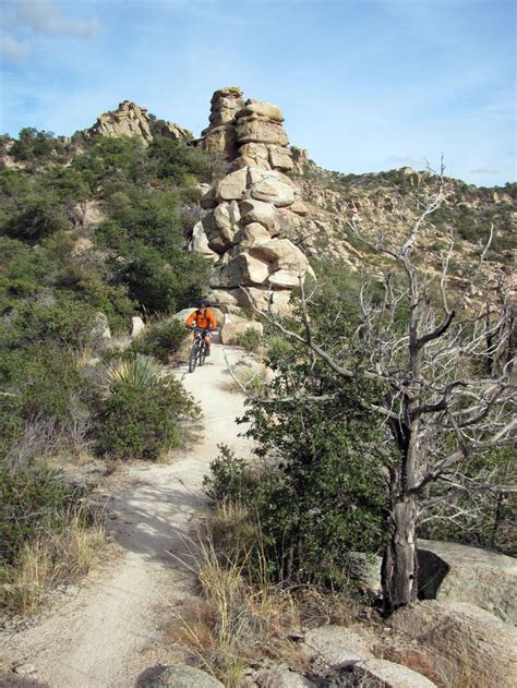 Photos: Hiking trails on the Eastern slopes of the Santa Catalina Mountains | Local news ...