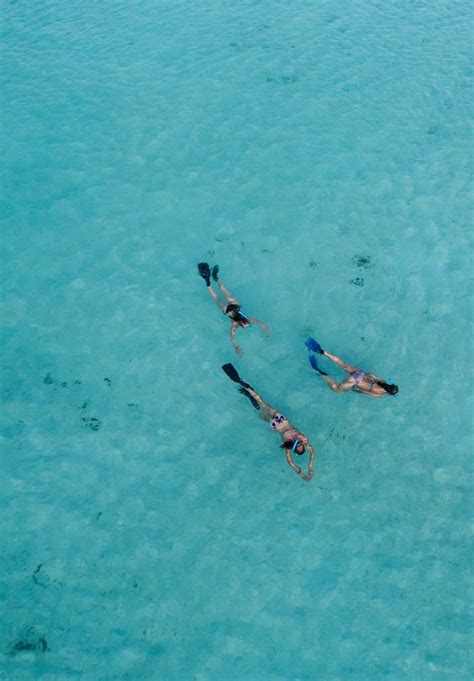 Snorkeling in Maldives