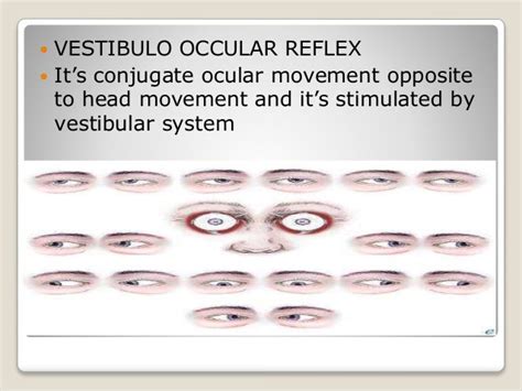 Vestibulo ocular reflex