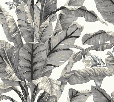 Banana Leaf Peel and Stick Wallpaper |Wallpaper And Borders |The Mural Store