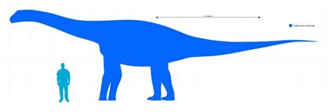 Cetiosaurus: The Whale Lizard of the Middle Jurassic Era