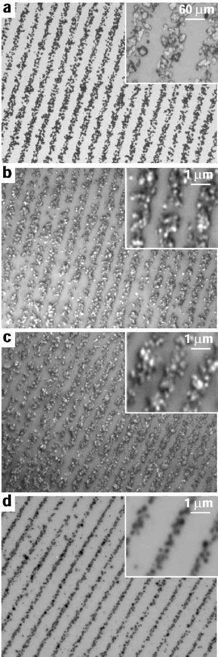 Optical microscope images of different particles that were assembled ...