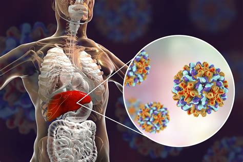 Cómo se contagia el virus de la hepatitis B