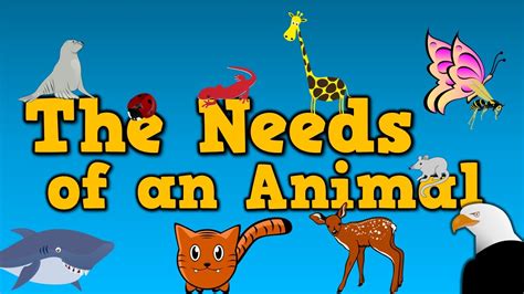 The Needs of an Animal (song for kids about 4 things animals need to ...