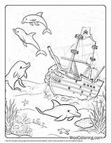 100  Dolphin coloring Pages Free PDF To Print Woo Coloring sketch template