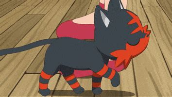 Umbreon GIFs - Find & Share on GIPHY