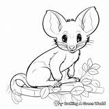 Possum Coloring Pages  Free & Printable sketch template