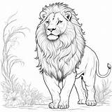 Majestic lion coloring Page Lulu Pages sketch template