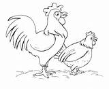 Chicken Coloring Page sketch template