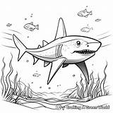 Shark Week Coloring Pages  Free & Printable sketch template