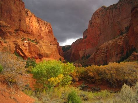 Kolob Canyons - Zion National Park (U.S. National Park Service)