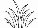 34 Grass Coloring Pages Ideas  coloring pages pictures grass sketch template