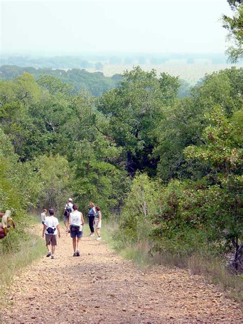 Greenstone Guide to Austin & The Texas Hill Country: Hiking Trails | Texas hill country, Hiking ...