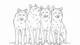 Printable Wolves Coloring Pages PDF  Coloringfoldercom sketch template