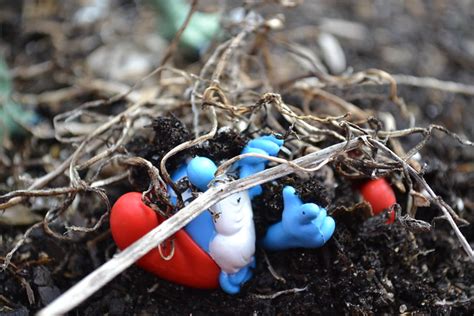 Dead smurf. | Flickr - Photo Sharing!