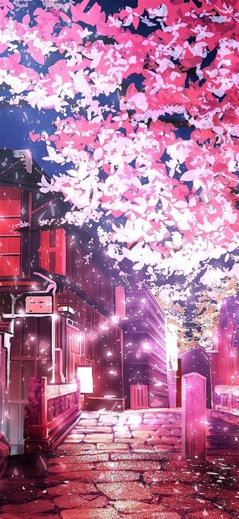 Cherry Blossom Tree 4K Wallpaper Anime