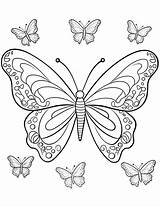 50 Butterfly Coloring Pages Free Printable Sheets sketch template