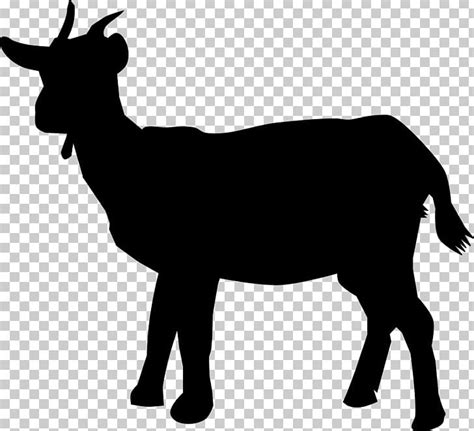 Boer Goat Black Bengal Goat Silhouette PNG, Clipart, Animals, Antelope, Antler, Black And White ...