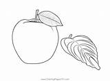 Apples 2 Coloring Page For Kids  Free Apple Printable Pages sketch template