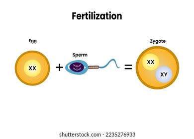 12,474 Structure Reproduction Images, Stock Photos & Vectors | Shutterstock