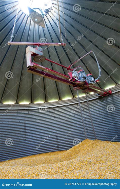 Inside a Grain Silo stock photo. Image of grains, corns - 36741770