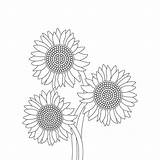 Sunflower Coloring Page And Book Hand Drawn Line Art Vector 20697481  sketch template