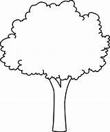 Apple Tree Coloring Pages sketch template