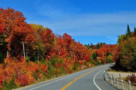 Fall Colors in Algonquin stock photo. Image of climate - 258075266