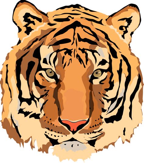 Free Tiger Vector, Download Free Tiger Vector png images, Free ClipArts ...